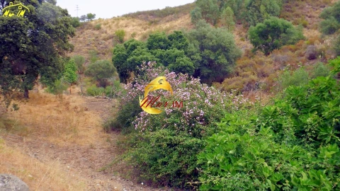Terreno para Venda em Castro Marim