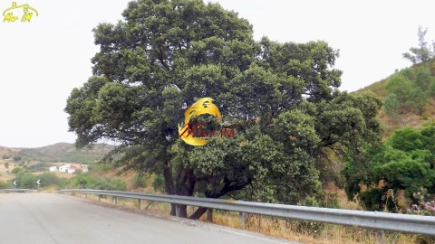 Terreno para Venda em Castro Marim