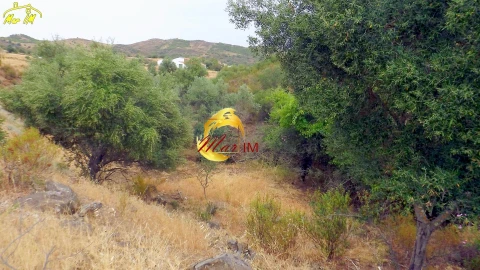 Terreno para Venda em Castro Marim