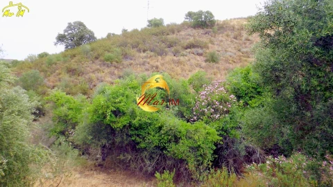 Terreno para Venda em Castro Marim