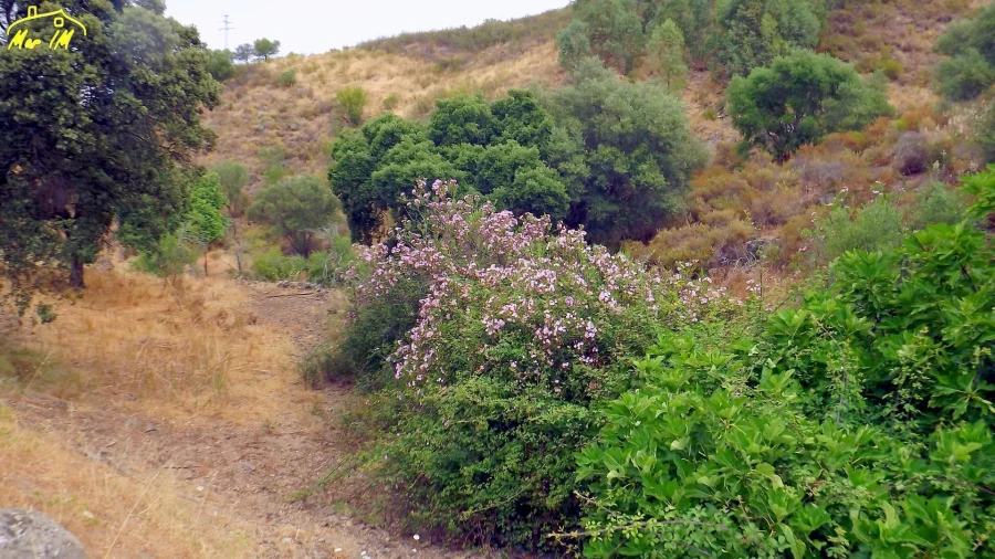 Terreno para Venda em Castro Marim Foto 19