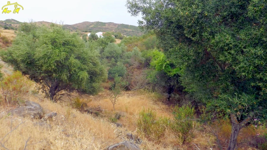 Terreno para Venda em Castro Marim Foto 26