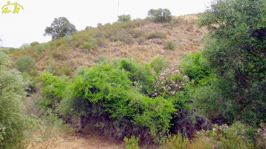 Terreno para Venda em Castro Marim Foto 29