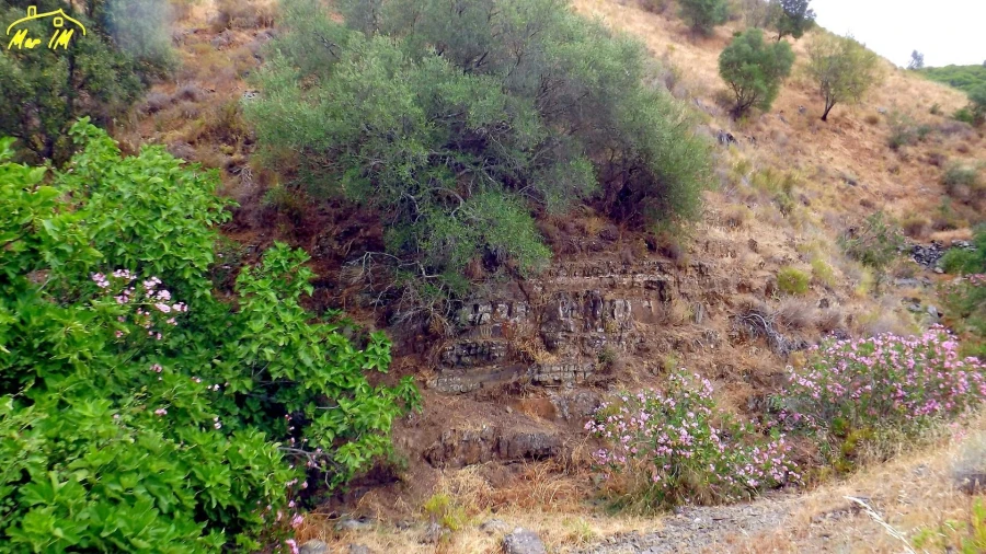 Terreno para Venda em Castro Marim Foto 19