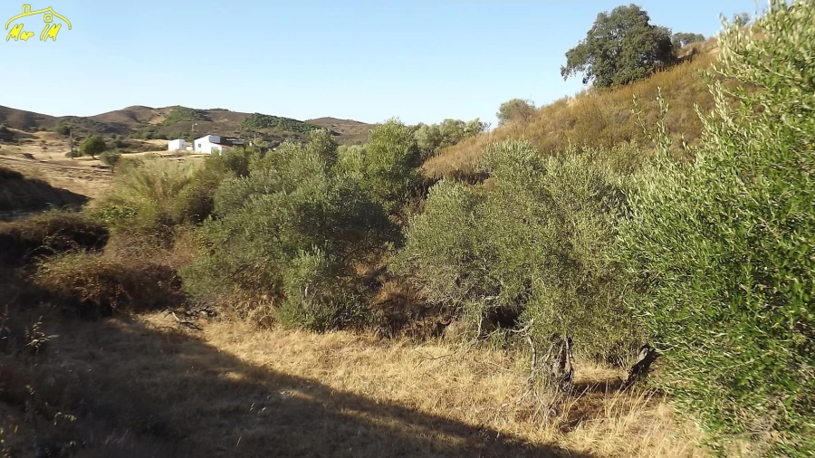 Terreno para Venda em Castro Marim Foto 50