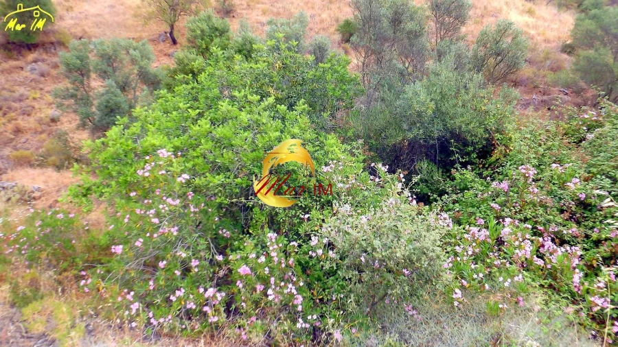Terreno para Venda em Castro Marim Foto 17