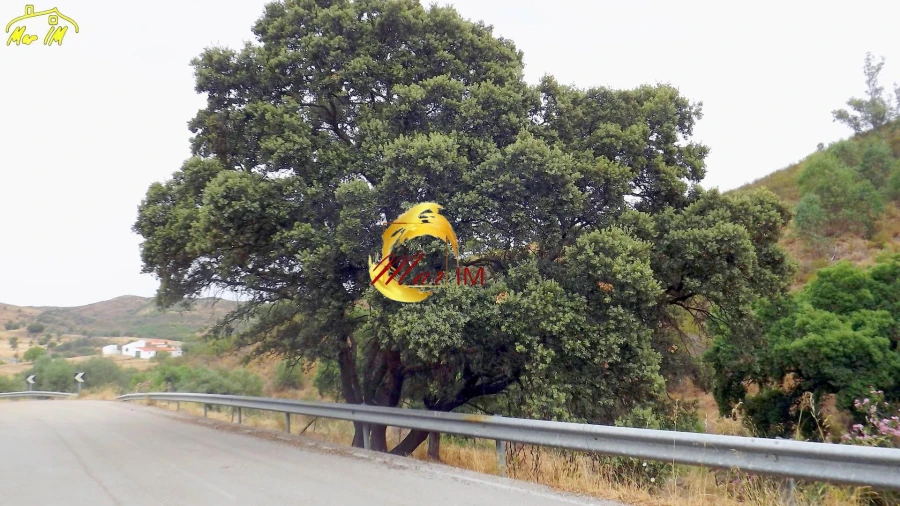 Terreno para Venda em Castro Marim Foto 23