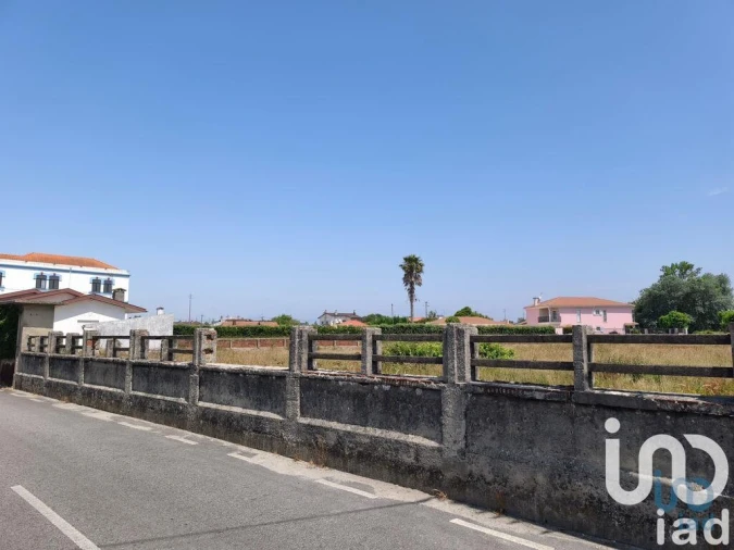 Terreno para Venda em Murtosa Foto 4