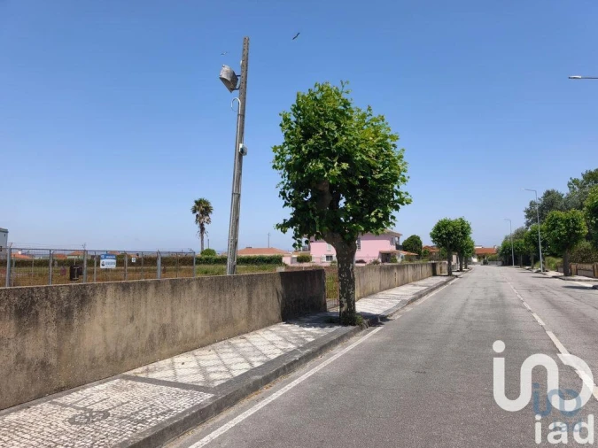 Terreno para Venda em Murtosa Foto 2