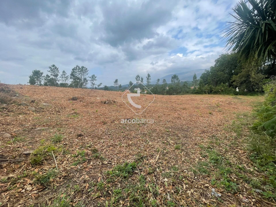Terreno para Venda em Fontão Foto 4