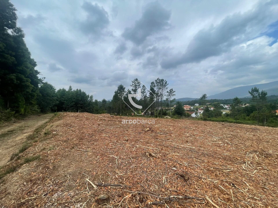 Terreno para Venda em Fontão Foto 5
