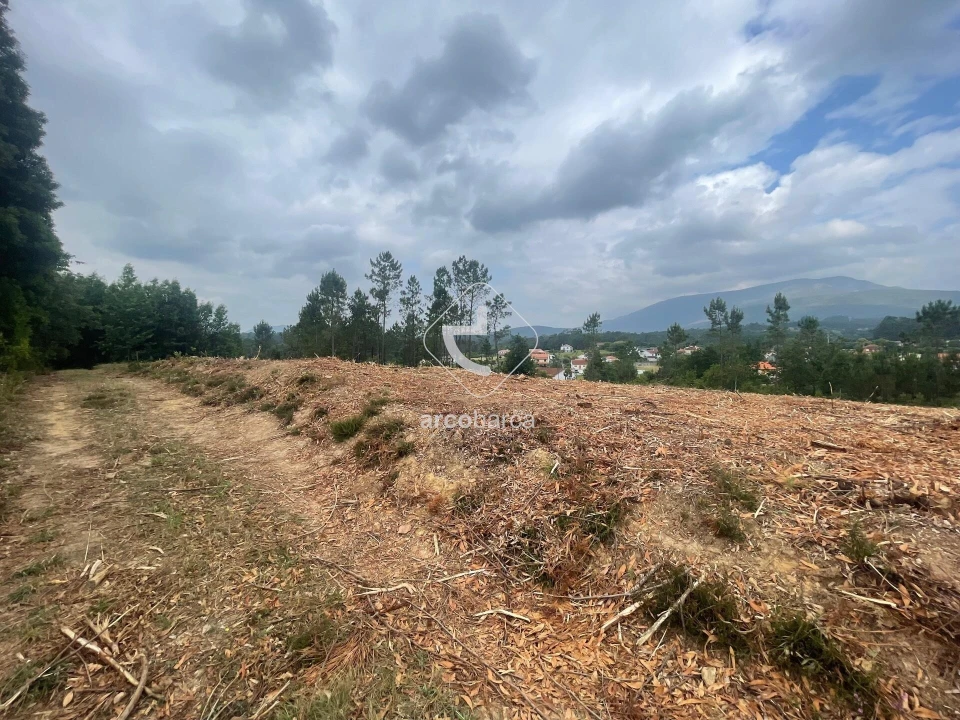Terreno para Venda em Fontão Foto 6