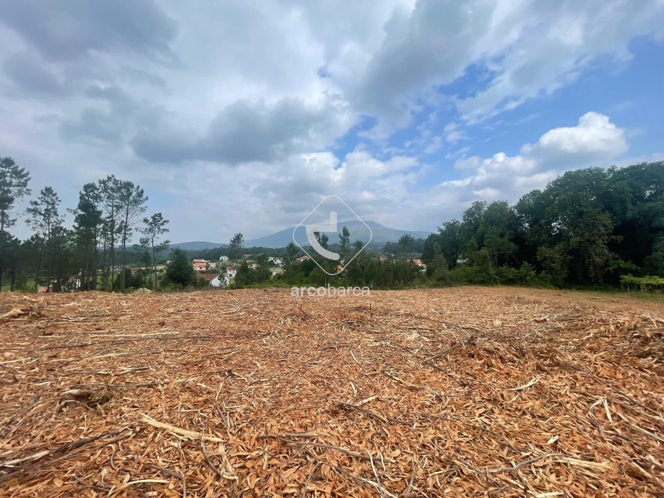 Terreno para Venda em Fontão Foto 1