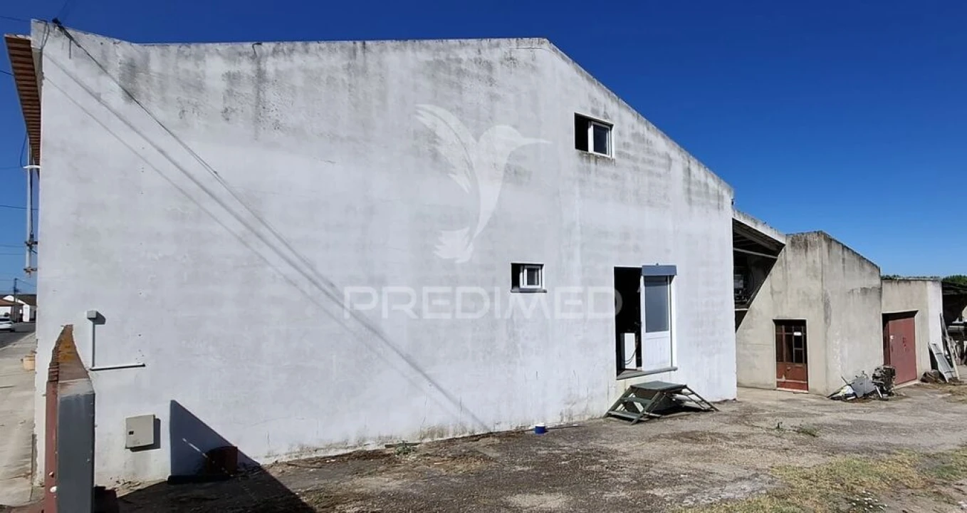 Armazém para Venda em Fazendas de Almeirim Foto 14