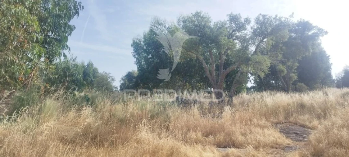 Terreno para Venda em Nossa Senhora da Graça de Povoa e Meadas Foto 3
