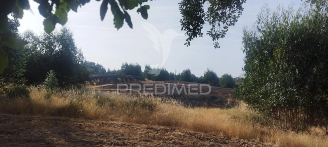 Terreno para Venda em Nossa Senhora da Graça de Povoa e Meadas Foto 2