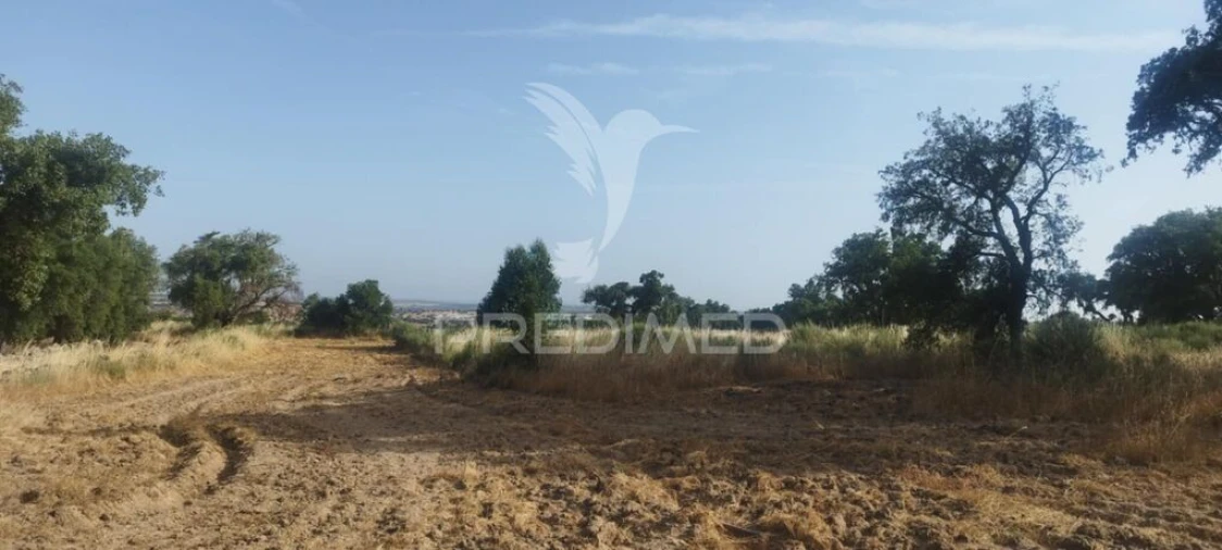 Terreno para Venda em Nossa Senhora da Graça de Povoa e Meadas Foto 5