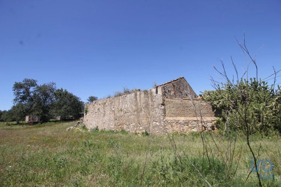 Terreno para Venda em Ferreiras Foto 5