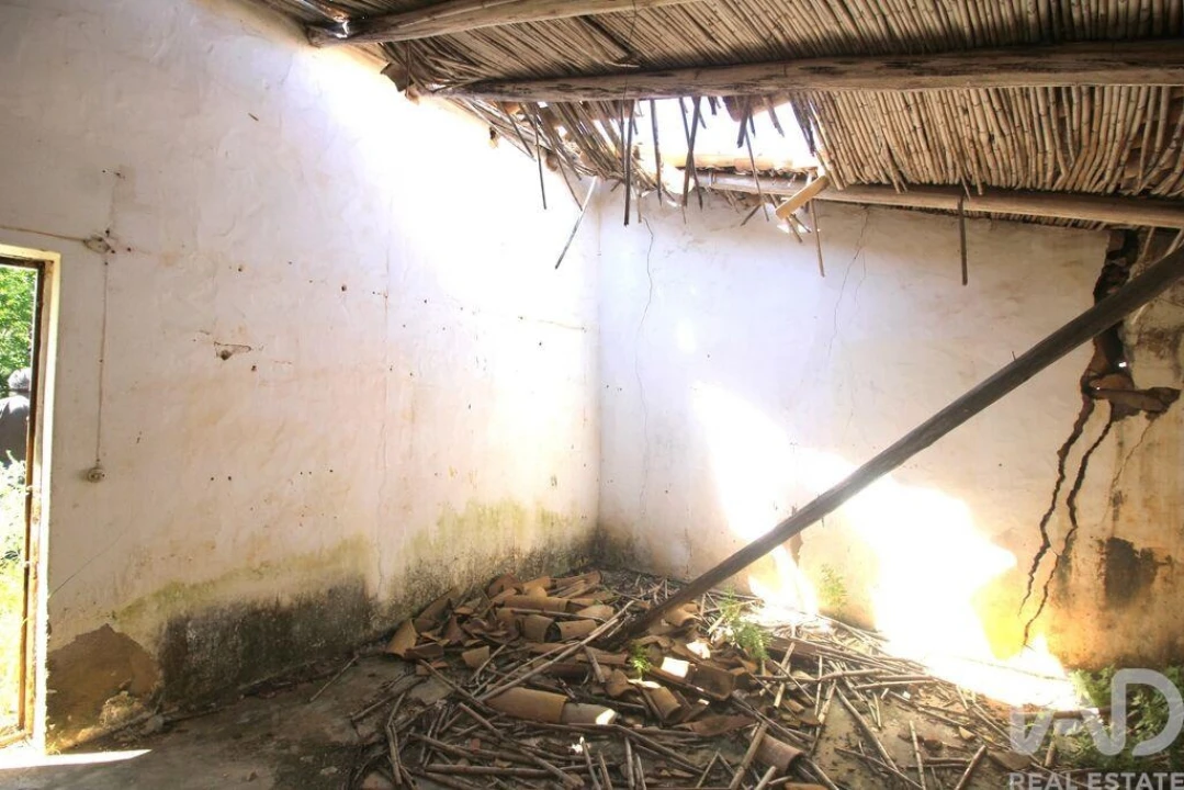 Terreno para Venda em Ferreiras Foto 24