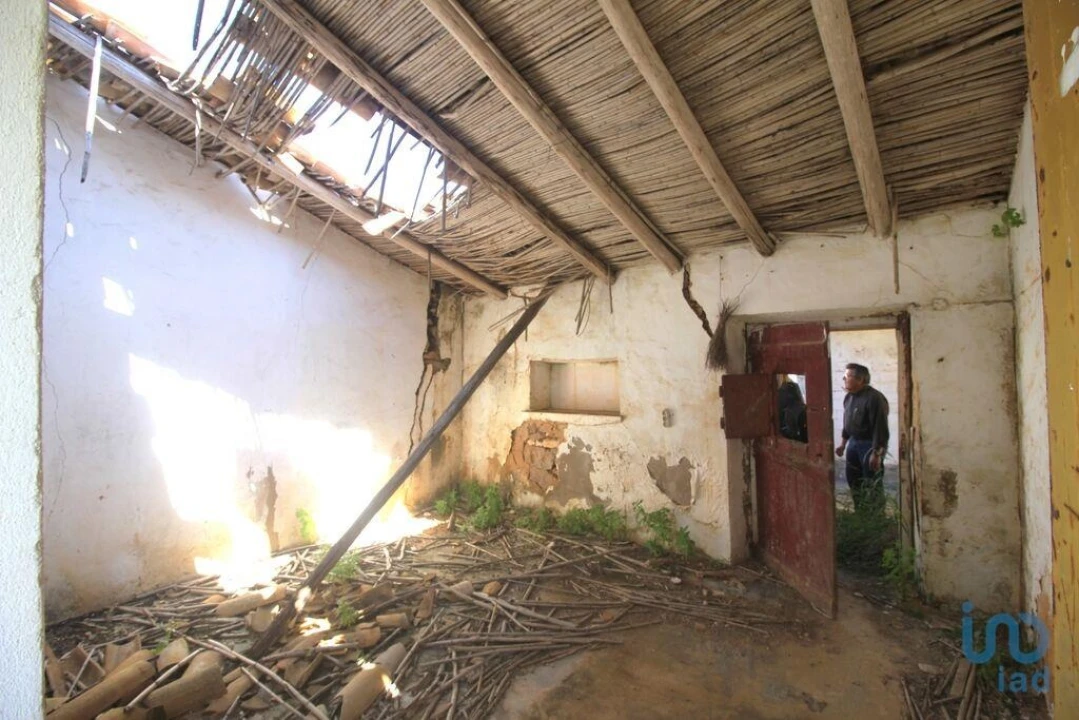 Terreno para Venda em Ferreiras Foto 11