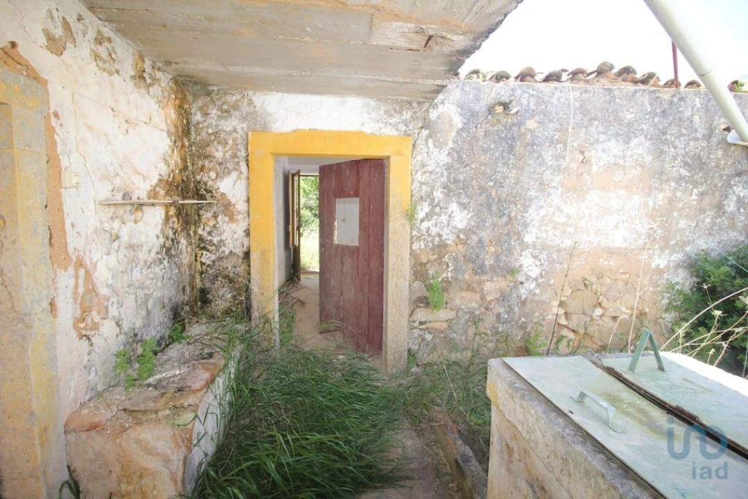 Terreno para Venda em Ferreiras Foto 9