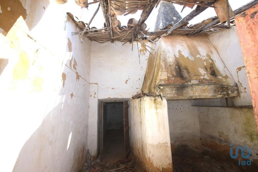 Terreno para Venda em Ferreiras Foto 15