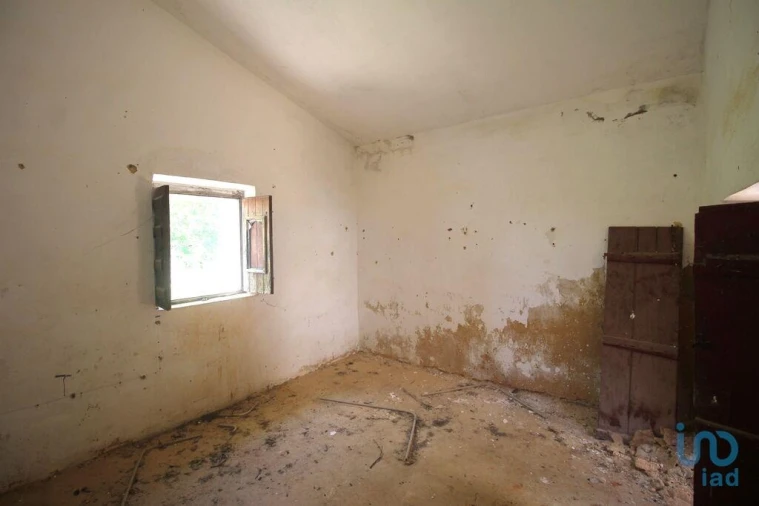 Terreno para Venda em Ferreiras Foto 13