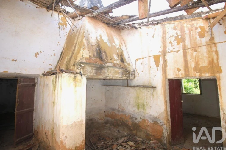 Terreno para Venda em Ferreiras Foto 22