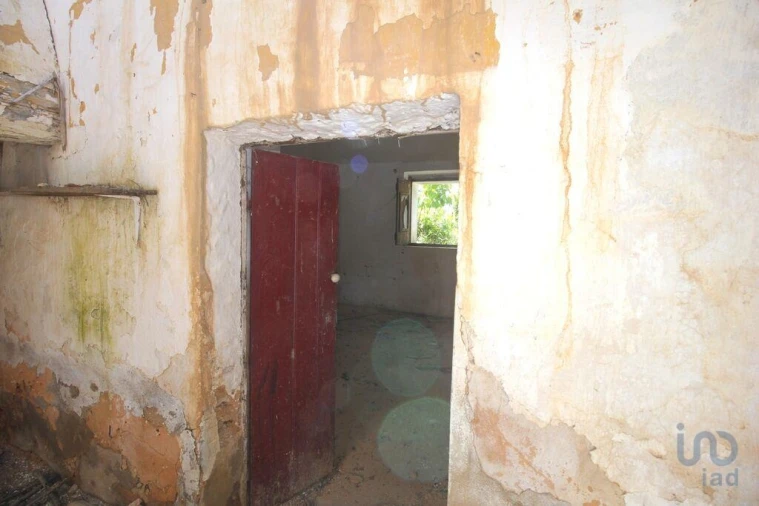 Terreno para Venda em Ferreiras Foto 14