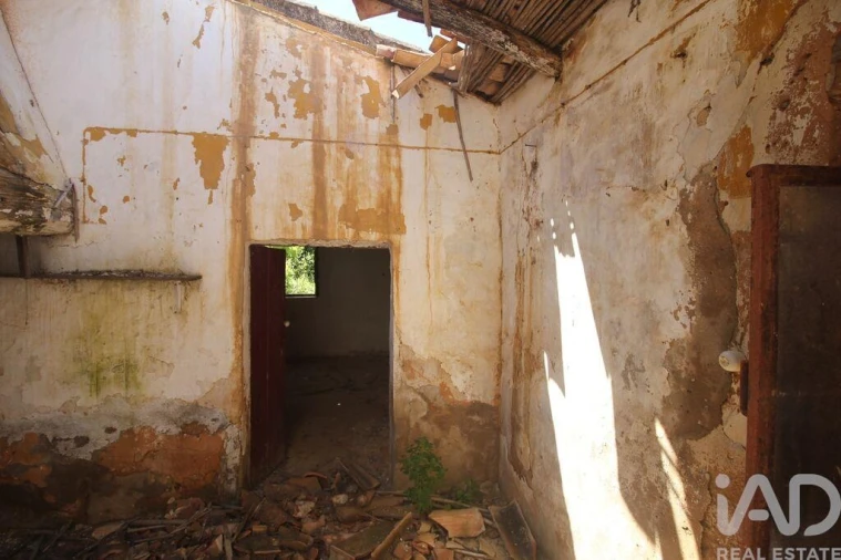 Terreno para Venda em Ferreiras Foto 20