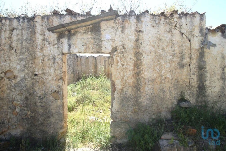 Terreno para Venda em Ferreiras Foto 6