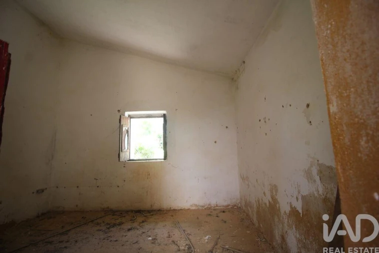 Terreno para Venda em Ferreiras Foto 21