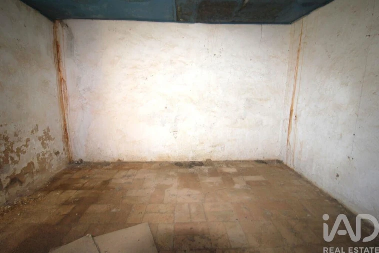 Terreno para Venda em Ferreiras Foto 16