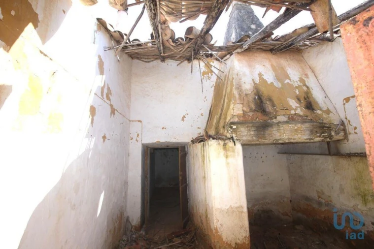 Terreno para Venda em Ferreiras Foto 15