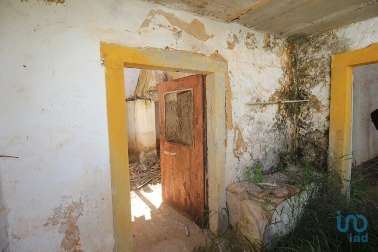 Terreno para Venda em Ferreiras Foto 10