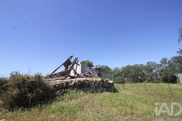 Terreno para Venda em Ferreiras Foto 25