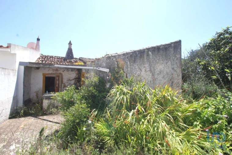 Terreno para Venda em Ferreiras Foto 8