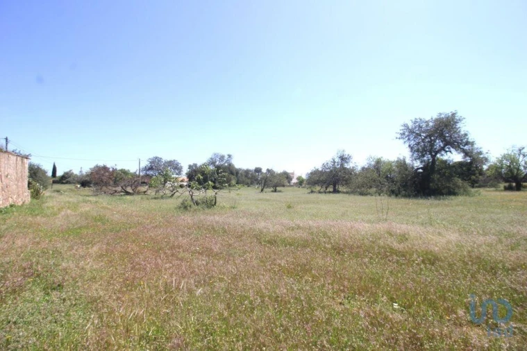 Terreno para Venda em Ferreiras Foto 4