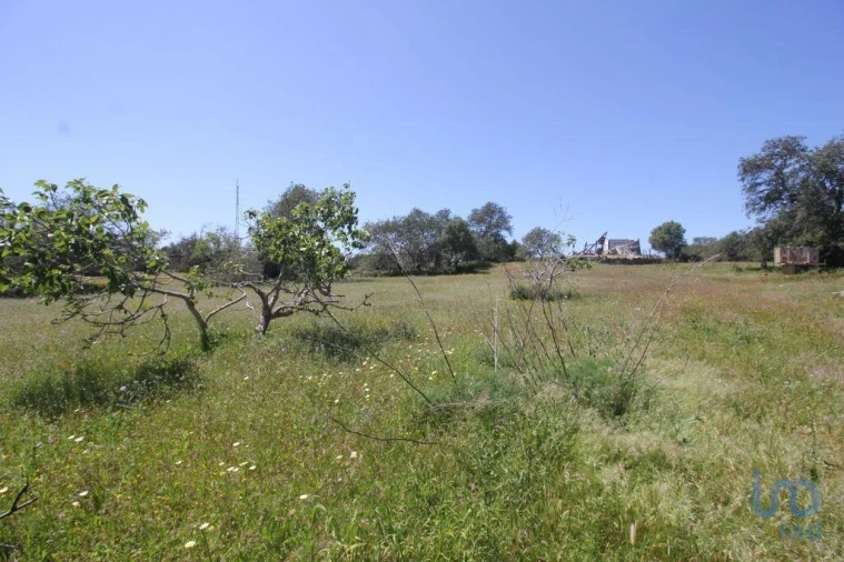 Terreno para Venda em Ferreiras
