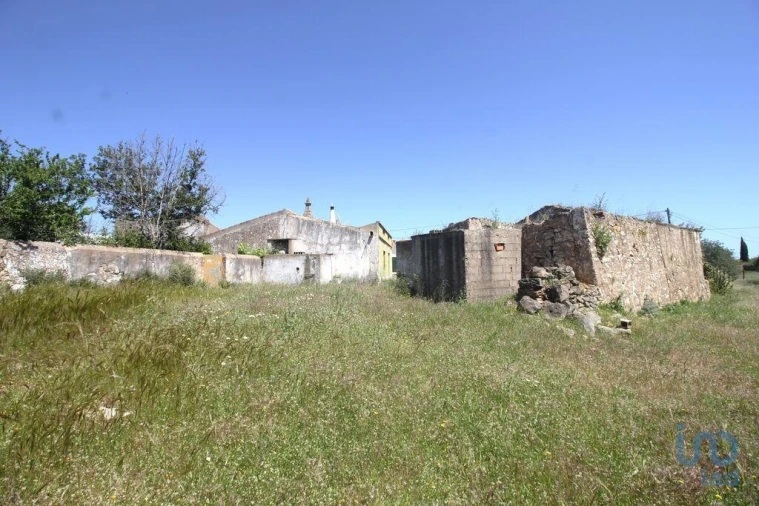 Terreno para Venda em Ferreiras Foto 2