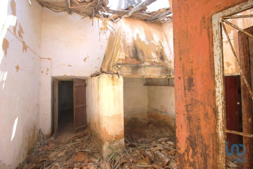 Terreno para Venda em Ferreiras Foto 12