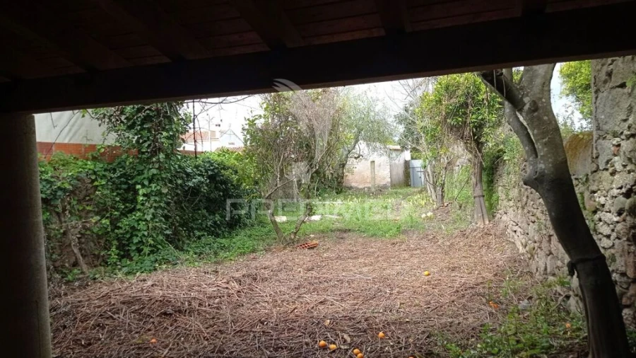 Moradia T3 para Venda em Aldeia da Mata Foto 8