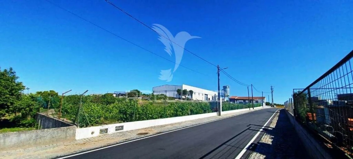 Armazém para Venda em Alagoa Foto 2