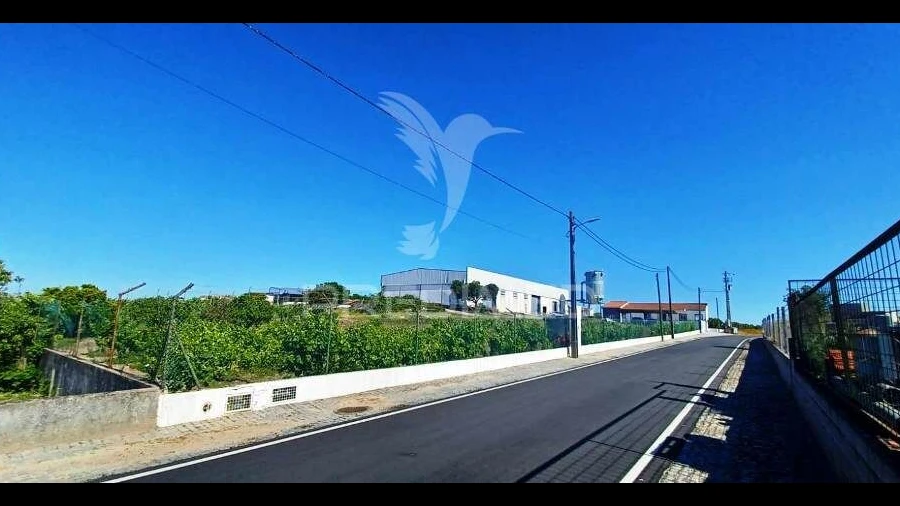Armazém para Venda em Alagoa