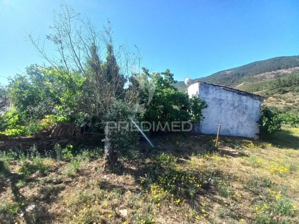 Quinta T2 para Venda em Sé e São Lourenço Foto 14