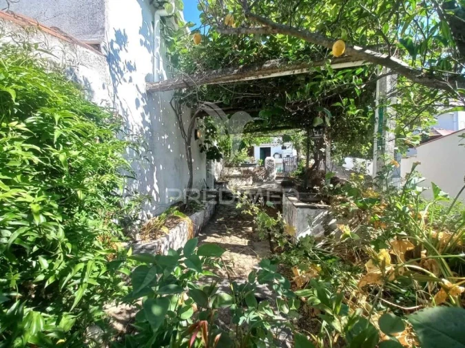 Quinta T2 para Venda em Sé e São Lourenço Foto 8