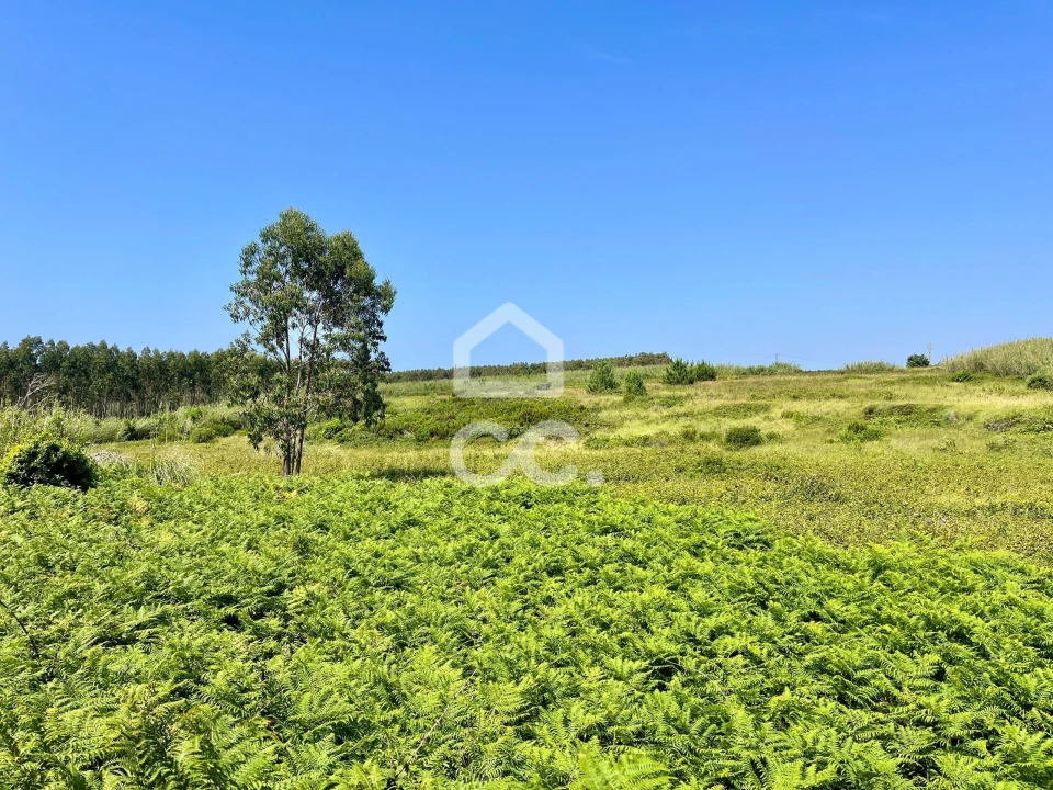 Terreno para Venda em Caldas da Rainha - Santo Onofre e Serra do Bouro Foto 16