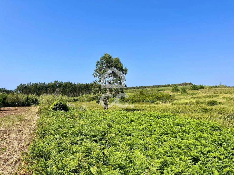Terreno para Venda em Caldas da Rainha - Santo Onofre e Serra do Bouro Foto 15