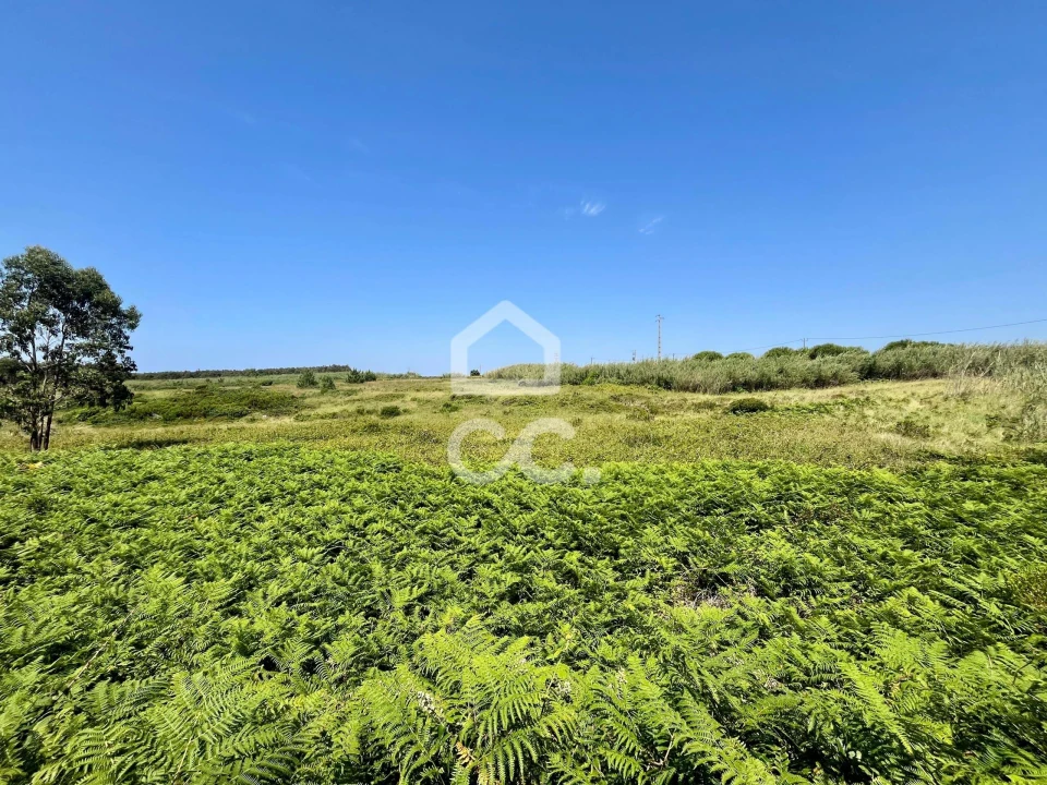 Terreno para Venda em Caldas da Rainha - Santo Onofre e Serra do Bouro Foto 21