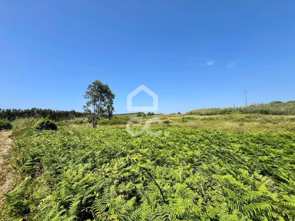 Terreno para Venda em Caldas da Rainha - Santo Onofre e Serra do Bouro Foto 22